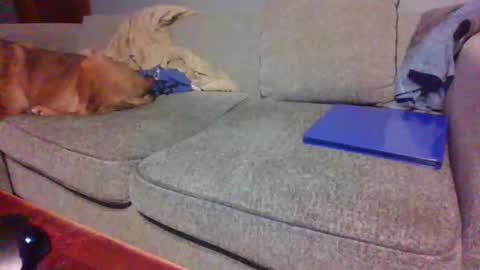 blaw_1321 online show from 04-19-26, 10:45