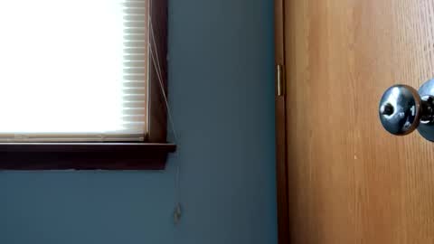 Snapshot of blissfulfoxtrot chatting on 04-29-26, 01:15 Blissful Foxtrot online show from 04-29-26, 01:15