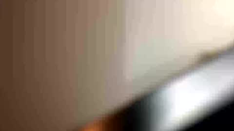blue_cum_bunny123 online show from 07-16-26, 04:07