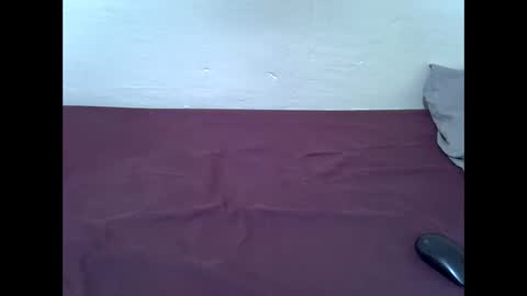 Bunny online show from 02-07-26, 12:14