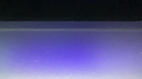 Snapshot of bluuuuuuub chatting on 12-29-24, 11:08 bluuuuuuub online show from 12-29-24, 11:08