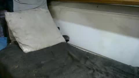 boatfun56 online show from 02-12-26, 11:00