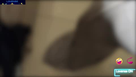 Bob  INDEPENDENT MODEL online show from 12-18-25, 04:46