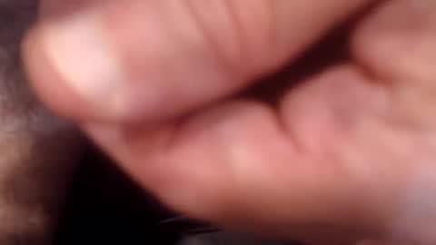 bobswan online show from 09-09-25, 09:58