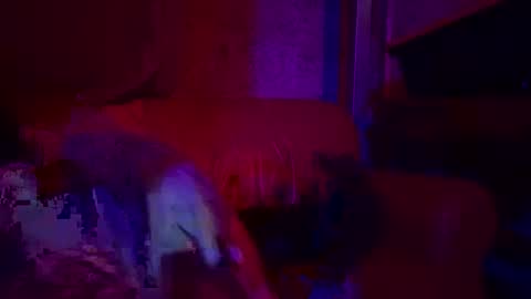 Snapshot of bodyyattiyatti chatting on 04-26-26, 06:49 Sailorartemis online show from 04-26-26, 06:49