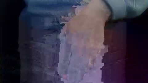 bogus25 online show from 03-01-26, 09:28