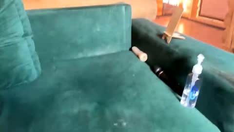 Nail and Olivia online show from 10-08-25, 10:35