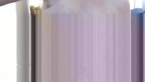 Snapshot of bolbil1 chatting on 12-15-24, 11:34 bolbil1 online show from 12-15-24, 11:34