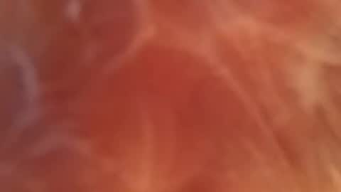 bombelpunk86 online show from 02-13-25, 08:06