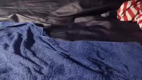 Bomm65 online show from 11-19-25, 03:12