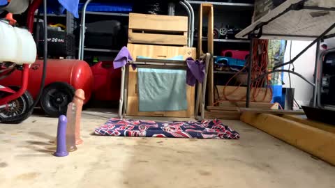 FRECKLES online show from 02-18-25, 02:38