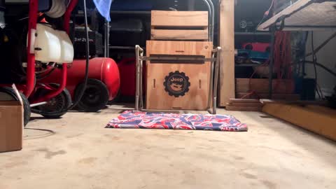 FRECKLES online show from 02-20-25, 11:53