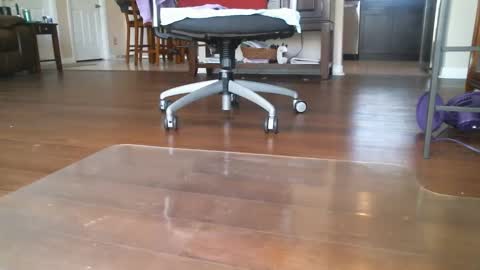 FRECKLES online show from 03-06-25, 06:26