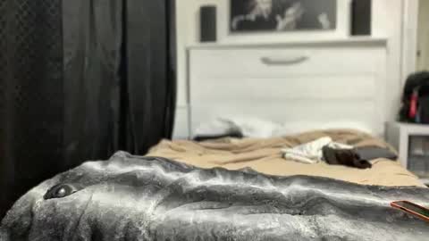 boner4you1994 online show from 04-19-26, 04:23