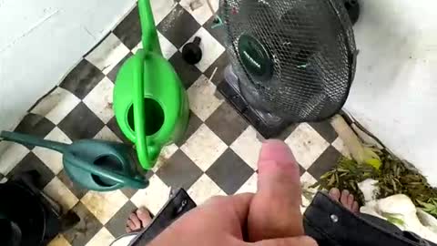 bonershot online show from 03-23-26, 05:39