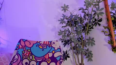   online show from 01-11-26, 11:54