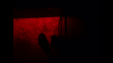 bonny8723 online show from 11-03-25, 10:21