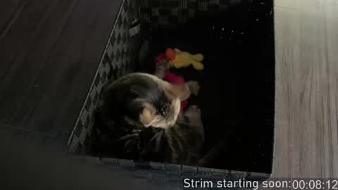 Booker Baxton online show from 02-24-26, 03:59