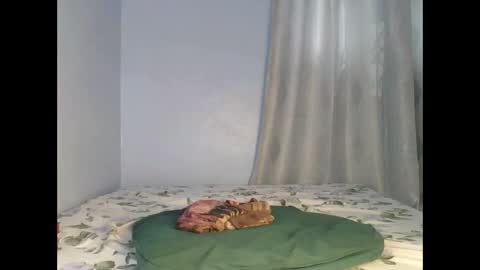 Snapshot of booty_panther chatting on 09-26-25, 06:50 sandrah online show from 09-26-25, 06:50