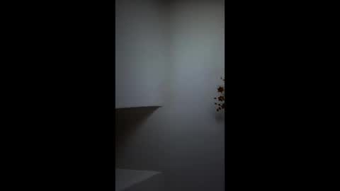 Snapshot of boris96213 chatting on 06-04-26, 01:33 boris96213 online show from 06-04-26, 01:33