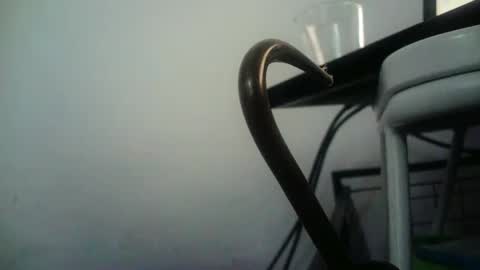 Snapshot of bottommlad chatting on 01-09-25, 08:01 BottoMMlad online show from 01-09-25, 08:01