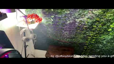 boyblondhetero online show from 02-22-26, 11:42