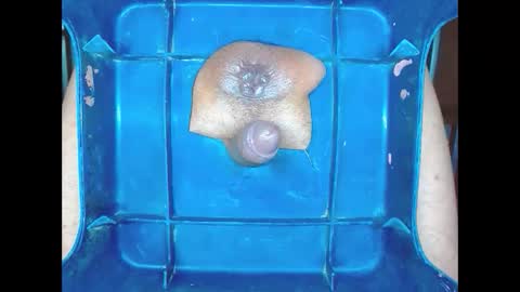 boyfantasies_11 online show from 01-11-26, 12:04