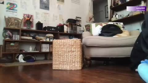 Snapshot of boywithbug chatting on 03-12-25, 06:44 boywithbug online show from 03-12-25, 06:44