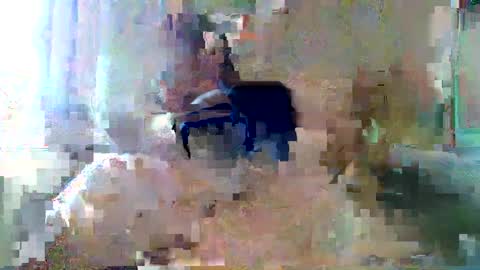 Snapshot of bpbww chatting on 09-19-25, 04:40 bpbww online show from 09-19-25, 04:40