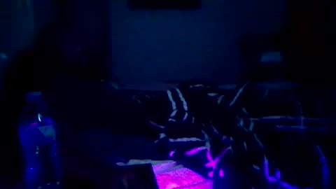 GuitarBrad1989 online show from 06-10-26, 09:19