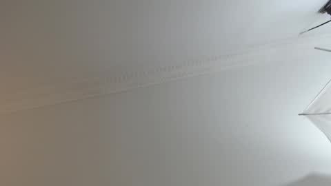 BrandonCole online show from 02-10-25, 12:29