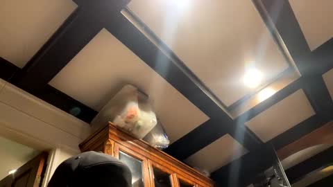 bravo323 online show from 10-02-25, 06:26