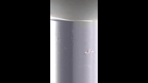 BeautifulDisasterxxx online show from 03-23-26, 03:32