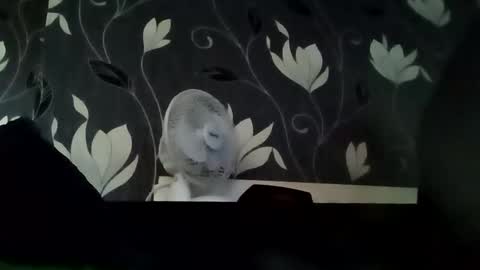 PB9944 online show from 09-14-25, 07:18