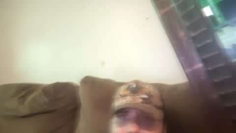 brennenangelle24atgmailcom online show from 07-18-26, 09:51