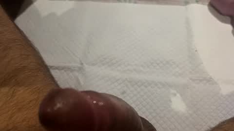 brenno95 online show from 02-21-26, 11:11