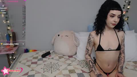 Brianna online show from 12-12-24, 12:48