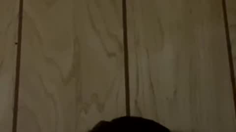 brianrenfro1234 online show from 04-30-26, 08:04