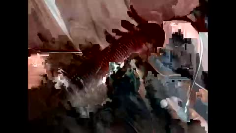 Snapshot of bricchicago chatting on 02-22-25, 03:45 bricchicago online show from 02-22-25, 03:45