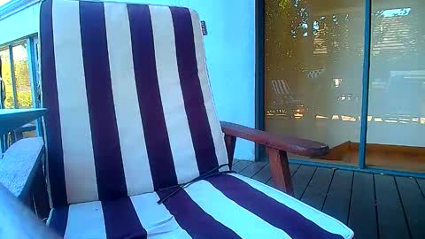 Fun Monster online show from 02-20-26, 06:19