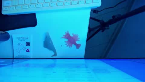 B R I T A N N Y online show from 07-20-26, 12:40