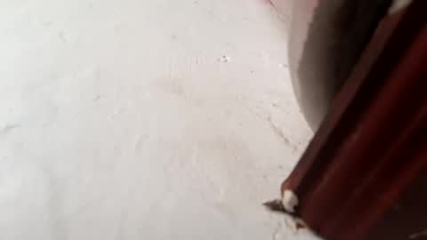 Brittany  online show from 11-23-25, 01:55