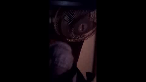 Brobator-gator online show from 02-19-26, 12:39