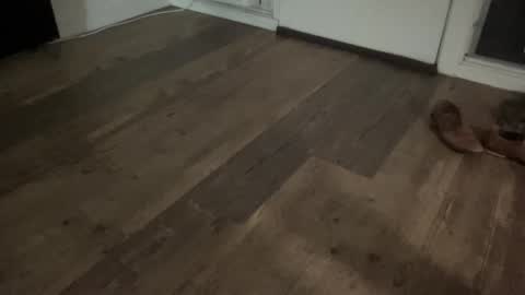 Snapshot of brokehungcollegeguy chatting on 02-13-26, 05:47 Broke Hung College Guy online show from 02-13-26, 05:47