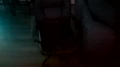 Snapshot of brookiebabyyyx3 chatting on 01-01-25, 12:55 brooke online show from 01-01-25, 12:55