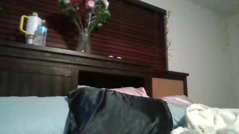 Snapshot of brownsugar0910 chatting on 12-15-24, 03:45 EtherealLilac online show from 12-15-24, 03:45