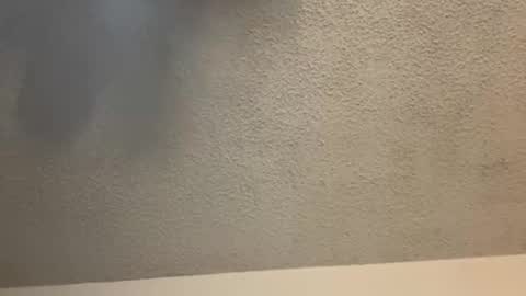 Snapshot of brownsugar0910 chatting on 02-11-25, 03:50 EtherealLilac online show from 02-11-25, 03:50