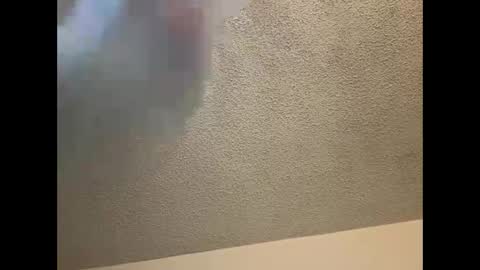 Snapshot of brownsugar0910 chatting on 03-04-25, 12:07 EtherealLilac online show from 03-04-25, 12:07