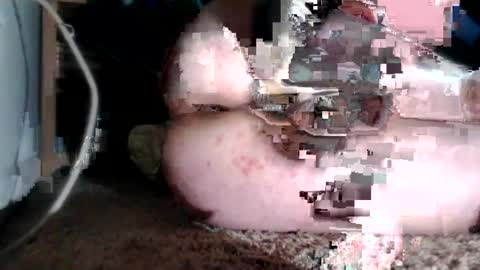 bubblebuttnnut online show from 06-11-26, 01:38