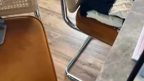 bucky58 online show from 02-16-26, 03:30